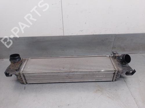 Intercooler BMW X1 (F48) sDrive 18 d | BP28127912M30 