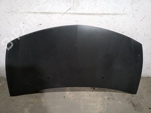 Used Hood RENAULT CLIO III (BR0/1, CR0/1) 1.4 16V (98 hp) 25244016