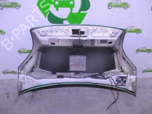 Hood PEUGEOT BIPPER (AA_)  | BP2066704C1 