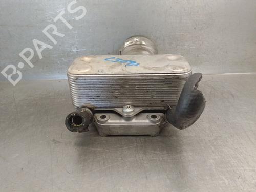 Support OPEL VECTRA B (J96) 2.0 DTI 16V (F19) | BP29450659C155 