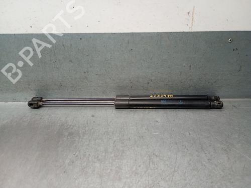 BP29909237C138 main image