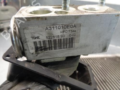 Air conditioning evaporator PEUGEOT PARTNER Box Body/MPV  | BP11669592M109 