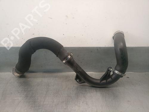 Tuyau DACIA SANDERO III 1.0 TCe 90 (91 hp) 29505956