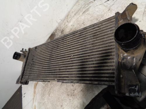 Intercooler LAND ROVER DEFENDER Pick Up (L316) 2.5 Td5 4x4 (L316) | BP10361149M30 