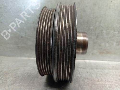 Pulley BMW 3 (E46) 316 i | BP29506005M122 