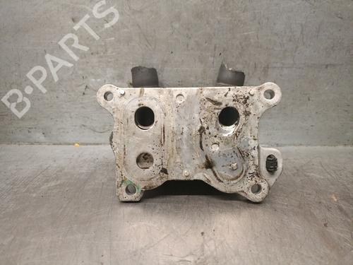 Oil radiator DACIA SANDERO II TCe 90 LPG (B8M1) | BP28053472M33 