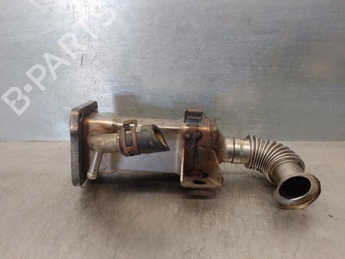 Egr RENAULT SCÉNIC II (JM0/1_) 1.9 dCi (JM0G, JM12, JM1G, JM2C) | BP15515983M69 