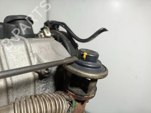 Engine PEUGEOT 406 Break (8E/F)  | BP31145856M1 