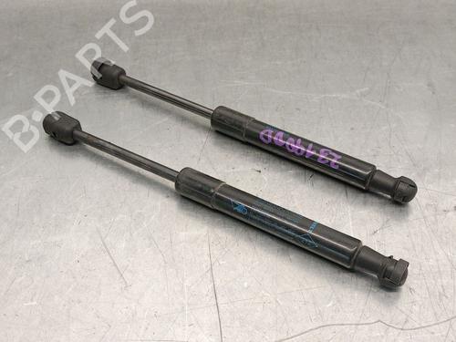 Used Hood lift support RENAULT SCÉNIC III (JZ0/1_) 1.5 dCi (110 hp) 27694648