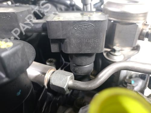 Engine FORD FOCUS III 1.0 EcoBoost | BP32169183M1 
