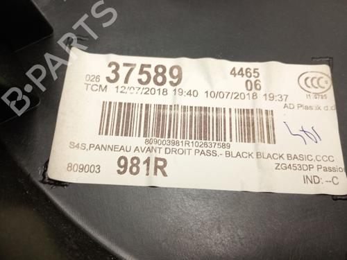 Front right panel SMART FORFOUR Hatchback (453) electric drive (453.091) | BP29475781C59 