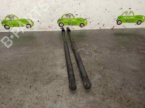 Tailgate lift support NISSAN MICRA III (K12) 1.2 16V | BP20254003C138 