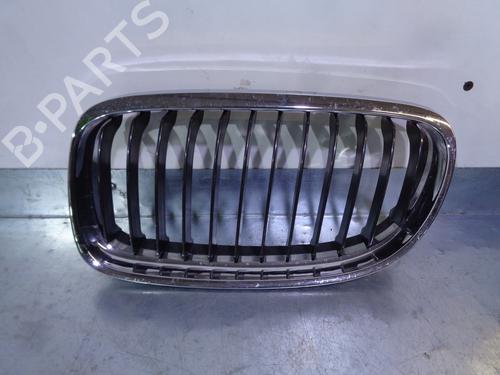 Used Grille BMW 3 (E90) 320 d (177 hp) 13737969
