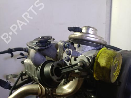 Motor VW NEW BEETLE (9C1, 1C1)  | BP28215064M1 