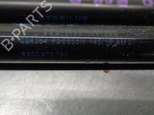 Tailgate lift support RENAULT SCÉNIC II (JM0/1_) 1.9 dCi (JM0G, JM12, JM1G, JM2C) | BP14330462C138 