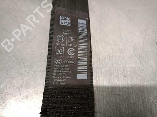 Rear left seatbelt PEUGEOT 308 SW II (LC_, LJ_, LR_, LX_, L4_) 1.5 BlueHDi 130 | BP25287110I29 