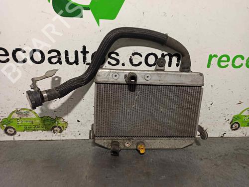 Used Water radiator SUZUKI MOTORCYCLES AN BURGMAN Burgman 400 Comfort Edition (34 hp) 25234729