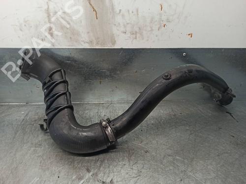 Pipe CITROËN XANTIA (X1_, X2_) 1.9 Turbo D | BP20261013M125 