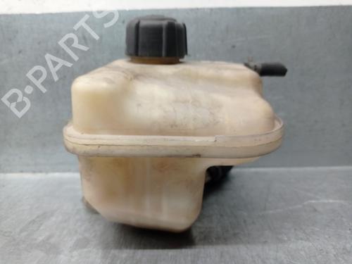 Expansion tank NISSAN QASHQAI I (J10, NJ10) 2.0 dCi | BP29030418C120 