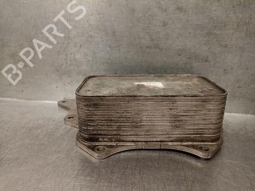 Used Oil radiator RENAULT GRAND SCÉNIC III (JZ0/1_) 1.6 dCi (JZ00, JZ12) (130 hp) 31067108