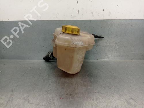 Expansion tank FORD FIESTA V (JH_, JD_) 1.4 TDCi | BP26322905C120 