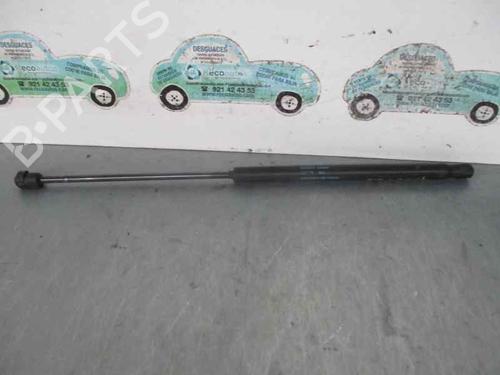 Ammortizzatore portellone posteriore FIAT STILO (192_) 1.8 16V (192AXC1A, 192BXC1A) (133 hp) 20251665