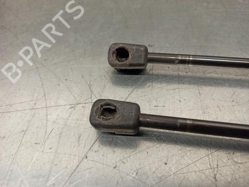 Tailgate lift support FORD FOCUS C-MAX (DM2) 1.6 | BP17896431C138 