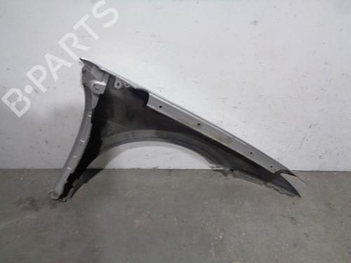 Left front fenders RENAULT LAGUNA III (BT0/1) 1.5 dCi (BT00, BT0A, BT0T, BT1J) | BP12261882C41 