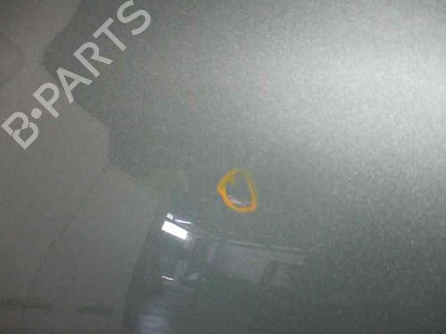 Left front door RENAULT MEGANE II Estate (KM0/1_) 1.9 dCi (KMRG, KM1G, KM0G, KM2C) | BP12186546C2 