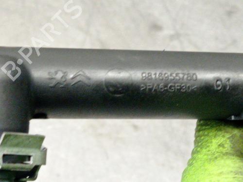 Injection rail CITROËN C-ELYSEE (DD_) 1.2 VTi 82 | BP29147954M98 