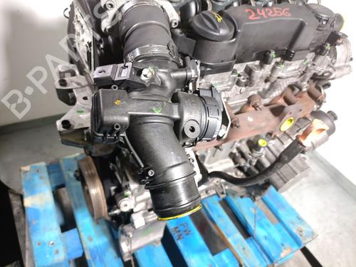 Engine PEUGEOT 308 I (4A_, 4C_) 1.6 HDi | BP31250925M1 