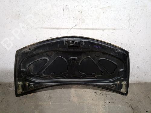 Hood RENAULT CLIO III (BR0/1, CR0/1) 1.4 16V | BP25244016C1 