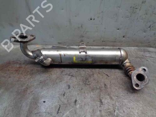 Egr OPEL ASTRA H (A04) 1.7 CDTI (L48) | BP20253933M69 