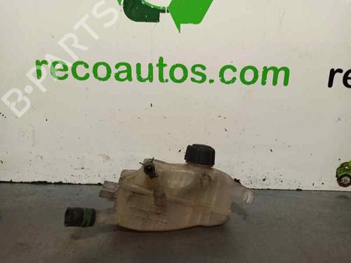 Expansion tank RENAULT SCÉNIC III (JZ0/1_) 1.5 dCi (JZ02, JZ0R) 217100005R