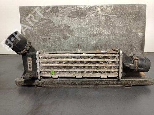 Used Intercooler SEAT IBIZA II (6K1) 1.9 TDI (90 hp) 25606122