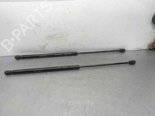 Hood lift support MINI MINI (R50, R53) One | BP21019972C139 
