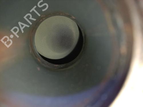 Catalyst RENAULT KADJAR (HA_, HL_) 1.3 TCe 140 (HLNB, HLN1) | BP25496196M10 