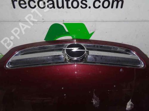 Hood OPEL SIGNUM Hatchback (Z03) 3.0 V6 CDTI (F48) | BP5147203C1 