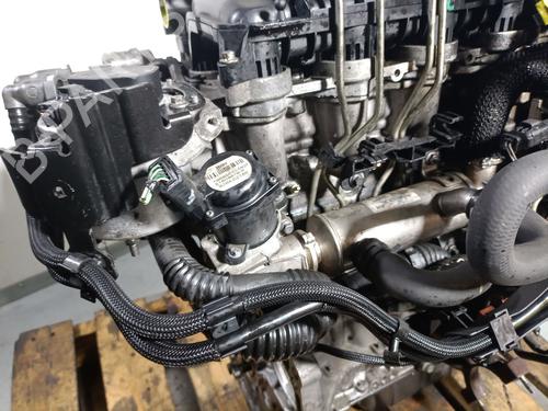 Engine FORD C-MAX (DM2) 1.6 TDCi | BP31931590M1 