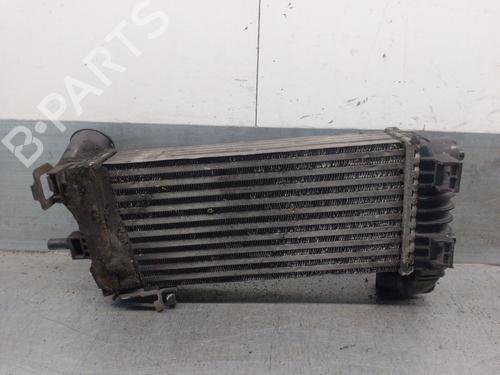 Intercooler FORD TRANSIT CONNECT V408 Box Body/MPV 1.6 TDCi | BP28134173M30 