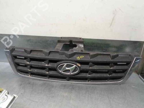 Grill Grill HYUNDAI ACCENT II (LC) 1.5 CRDi (82 hp) 8129815 8129815