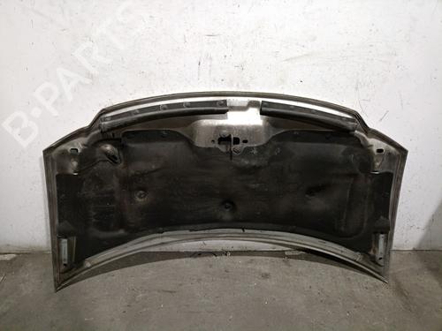 Hood CHRYSLER VOYAGER IV (RG, RS) 2.5 CRD | BP22726534C1 