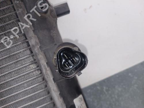 Water radiator SEAT IBIZA III (6L1) 1.9 TDI | BP32470949M31