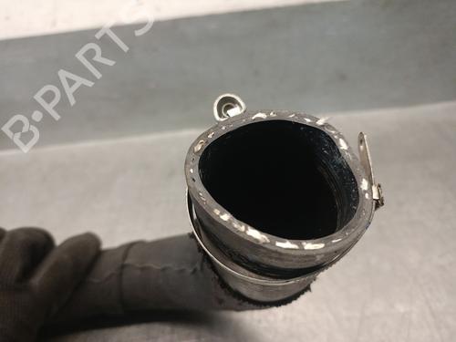 Pipe RENAULT CAPTUR II (HF_) TCe 90 (HFM6) | BP29706554M125