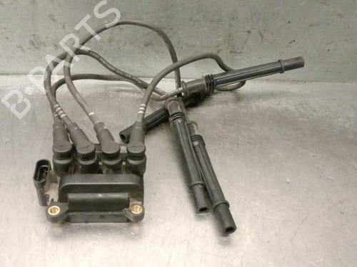 Tændspole Tændspole RENAULT CLIO III (BR0/1, CR0/1) 1.2 16V (BR02, BR0J, BR11, CR02, CR0J, CR11) (75 hp) 36159440 36159440