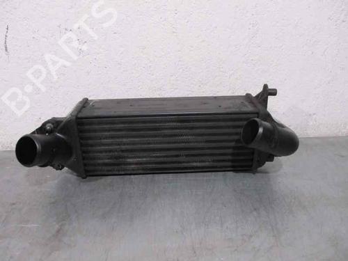 Ladeluftkühler ALFA ROMEO 166 (936_) 2.4 JTD (936A2A__) | BP2090168M30 