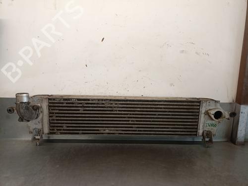 Used Intercooler NISSAN QASHQAI I (J10, NJ10) 2.0 dCi (150 hp) 28725983