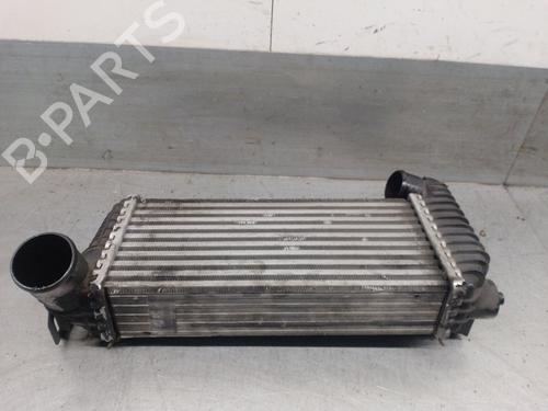 Intercooler FORD TRANSIT CONNECT V408 Box Body/MPV 1.6 TDCi | BP28134173M30 