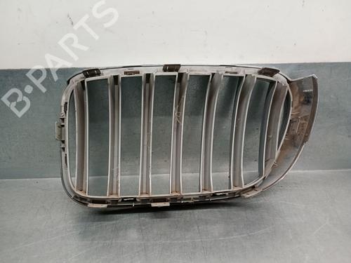 Grille BMW X4 (F26) xDrive 35 d | BP30083773C40 