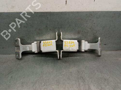 Hinge/Door check strap RENAULT KANGOO Express (FW0/1_) 1.5 dCi 75 (FW07, FW10, FW04) | BP29512029C146 
